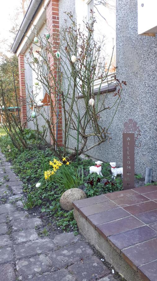 Ferienhaus In Buesumer Deichhausen - Buesum An Der Nordsee Fuer Bis Zu 9 Personen Villa Exterior foto